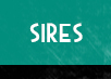 Sires